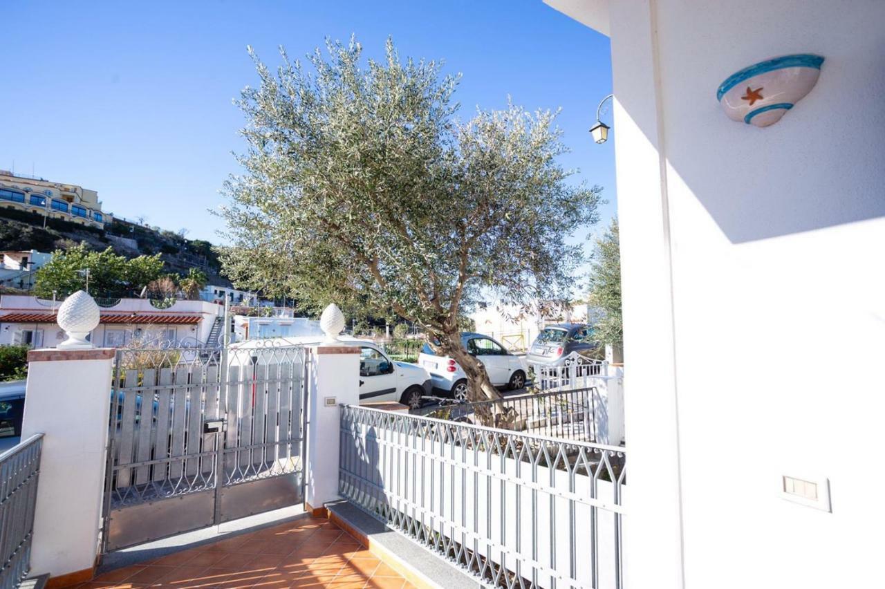 Casa Restituta Apartment Lacco Ameno  Luaran gambar